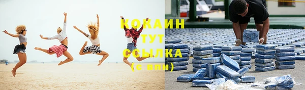 Альфа ПВП Бородино