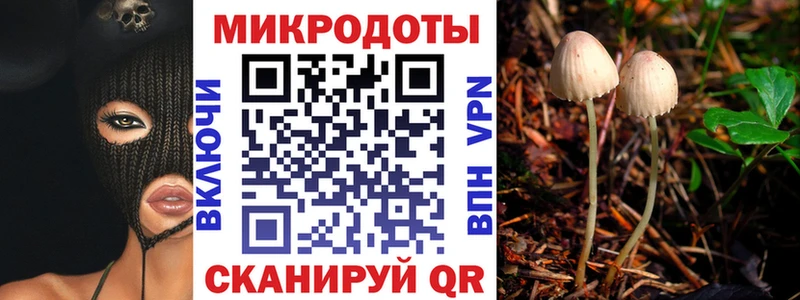 Галлюциногенные грибы прущие грибы  Новый Оскол 